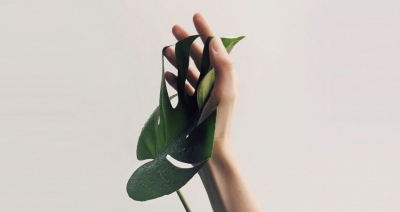 當我,或我愛的人不想活…